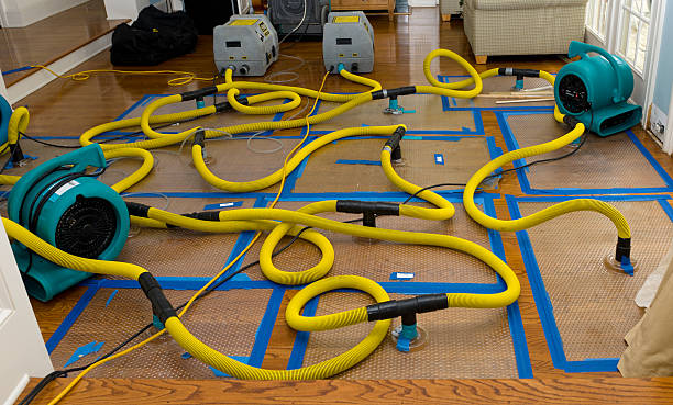 Professional Structural Drying And Dehumidification technician working in Healdsburg, CA